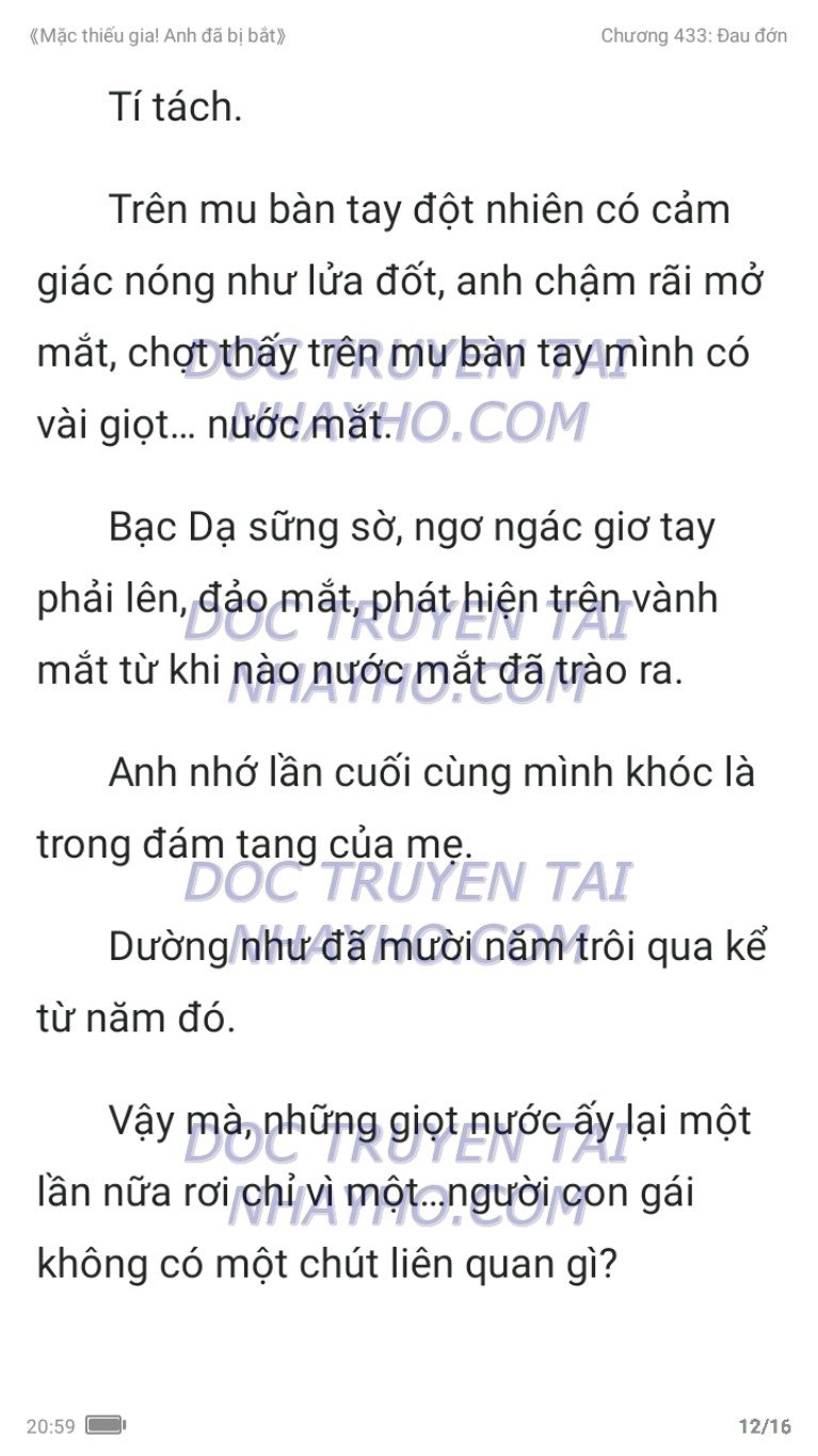 mac-thieu-gia-anh-da-bi-bat-433-11