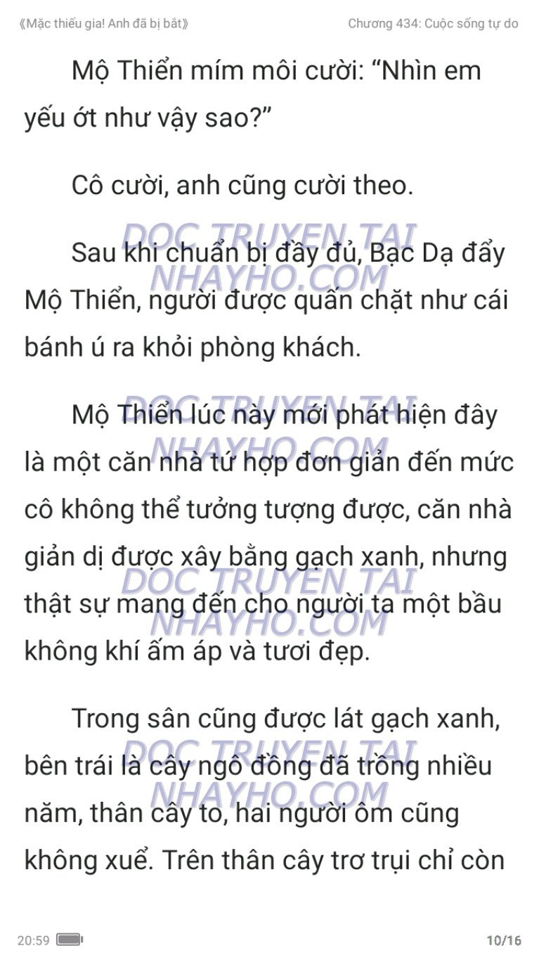 mac-thieu-gia-anh-da-bi-bat-434-9