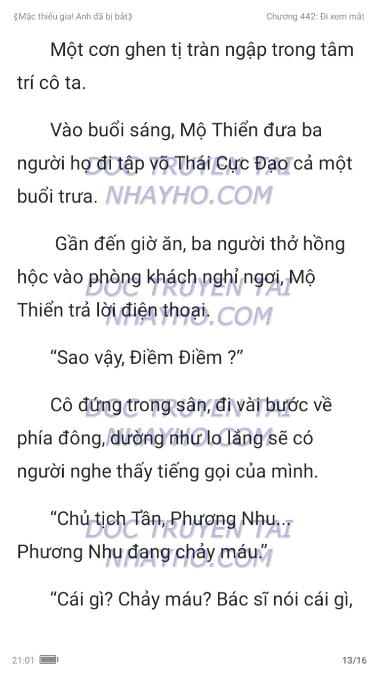 mac-thieu-gia-anh-da-bi-bat-442-12