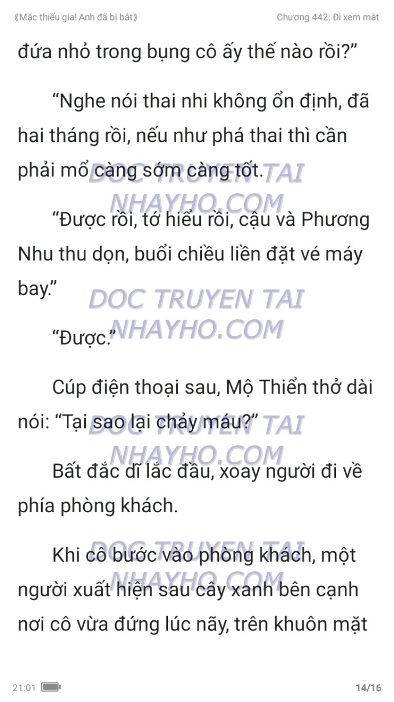 mac-thieu-gia-anh-da-bi-bat-442-13