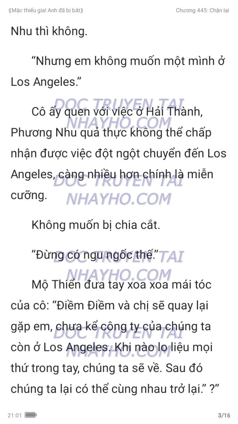 mac-thieu-gia-anh-da-bi-bat-445-2