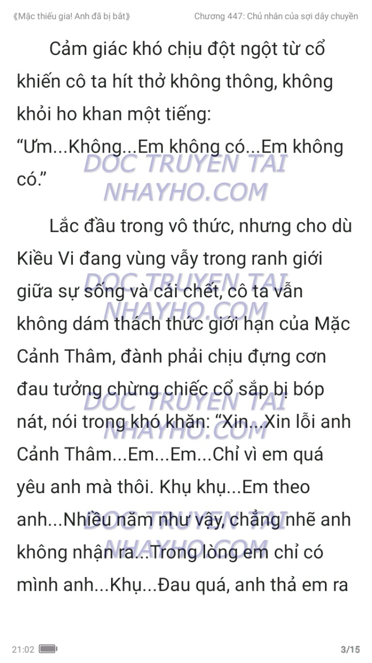 mac-thieu-gia-anh-da-bi-bat-447-2