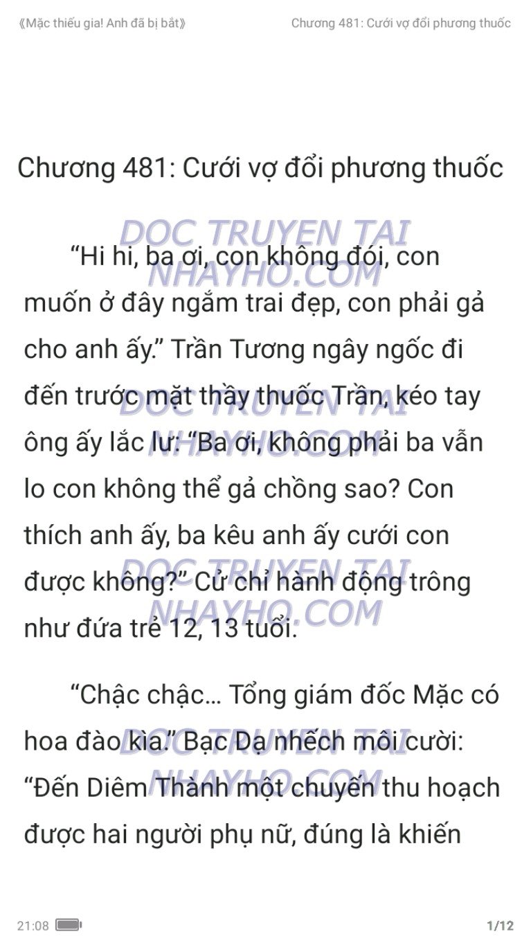 mac-thieu-gia-anh-da-bi-bat-481-0