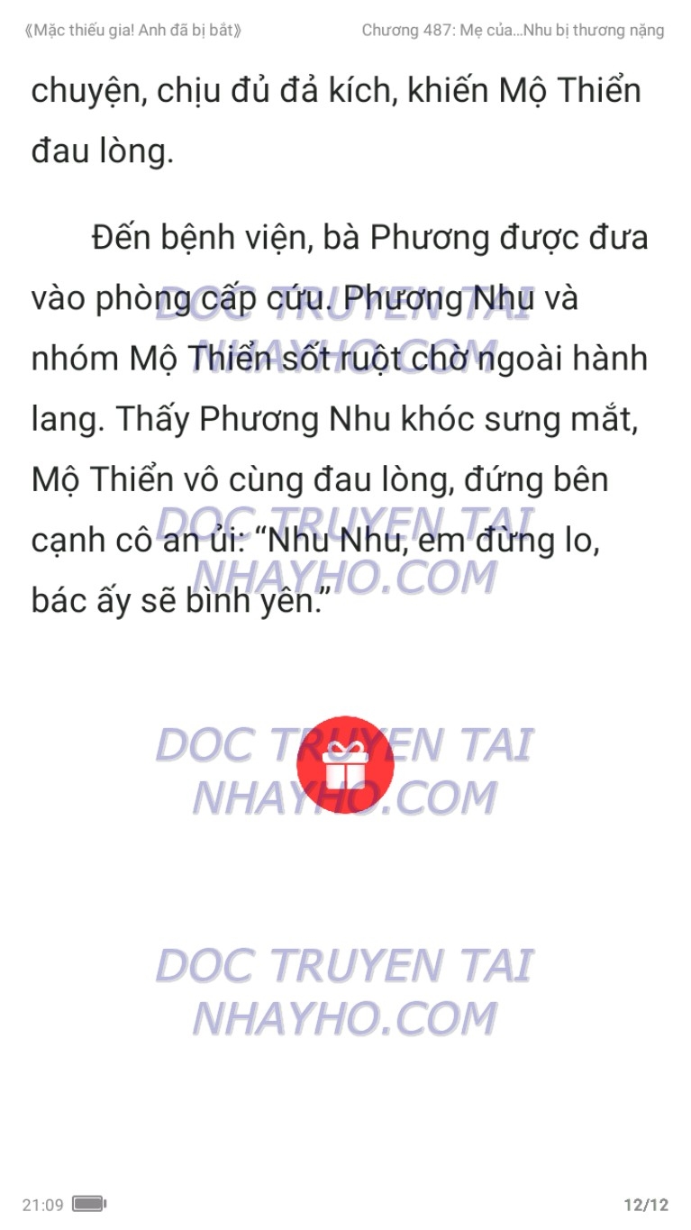 mac-thieu-gia-anh-da-bi-bat-487-1