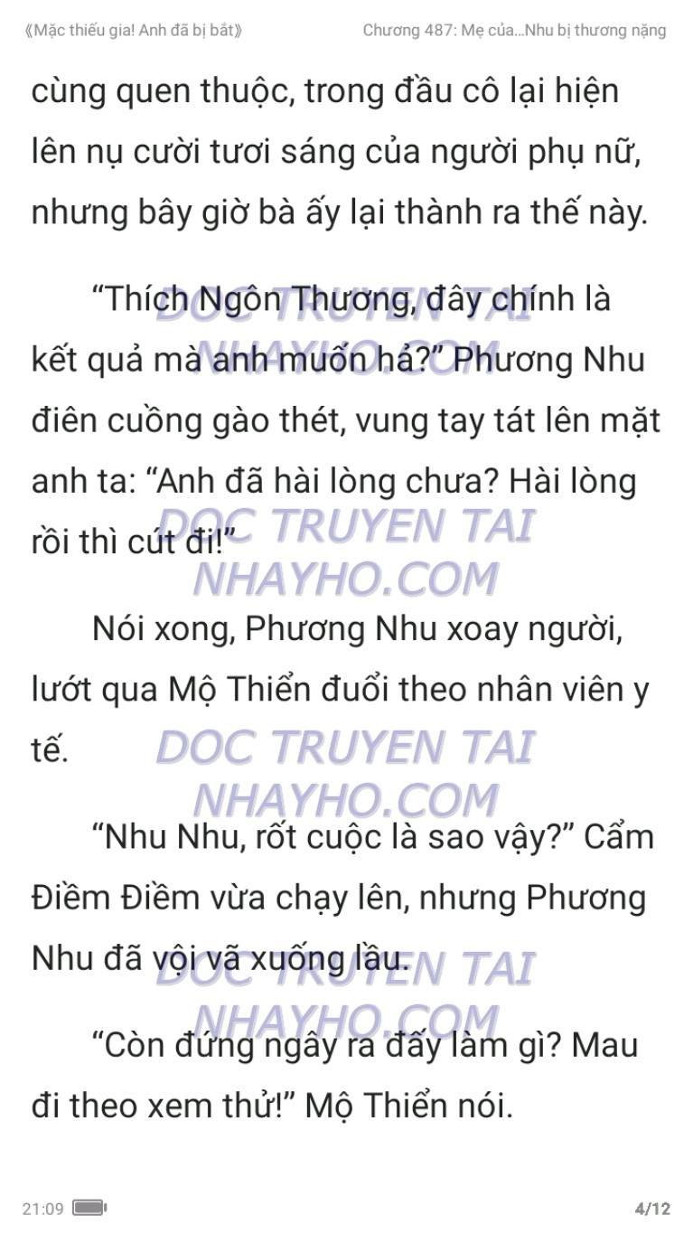 mac-thieu-gia-anh-da-bi-bat-487-10