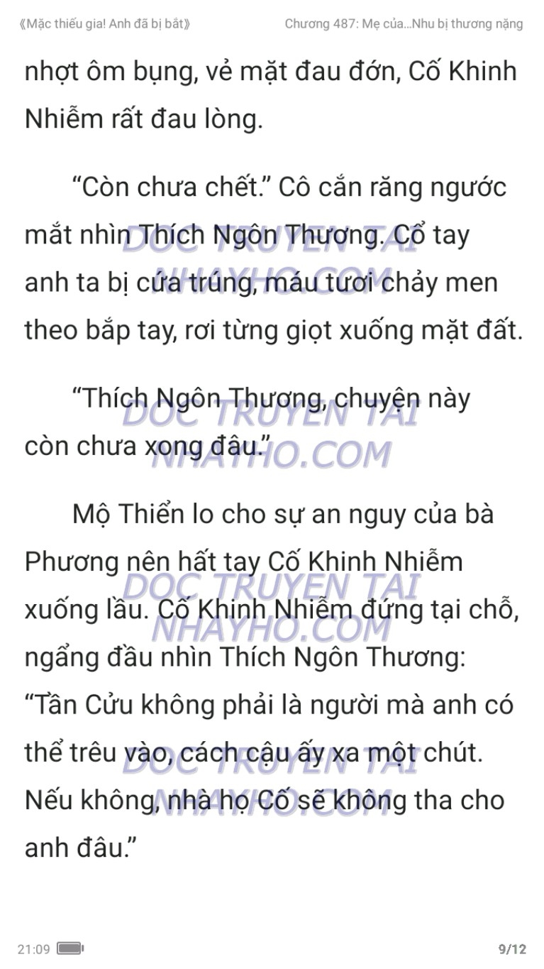 mac-thieu-gia-anh-da-bi-bat-487-4