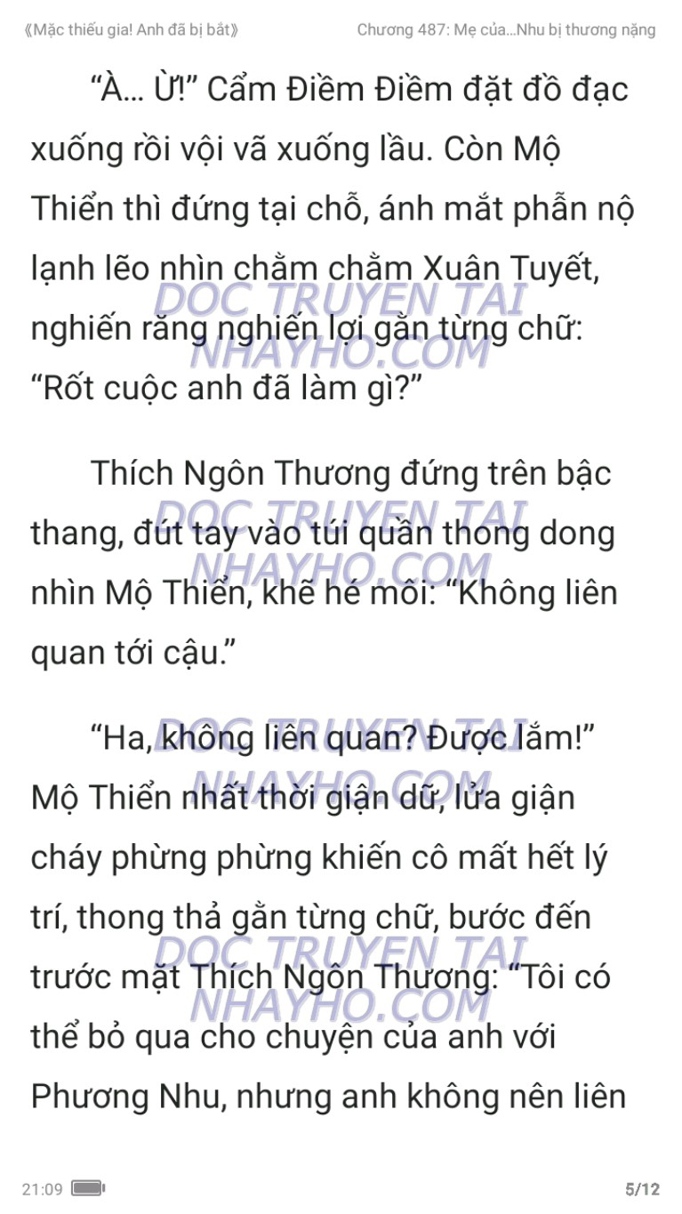 mac-thieu-gia-anh-da-bi-bat-487-7