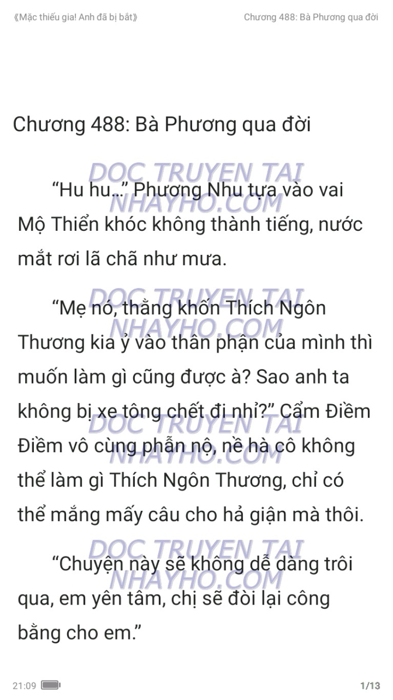 mac-thieu-gia-anh-da-bi-bat-488-0