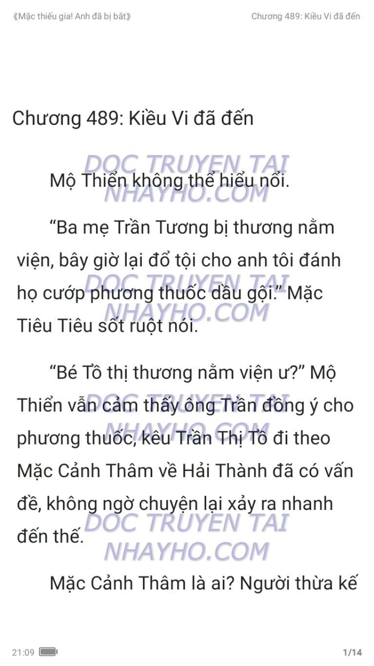 mac-thieu-gia-anh-da-bi-bat-489-0