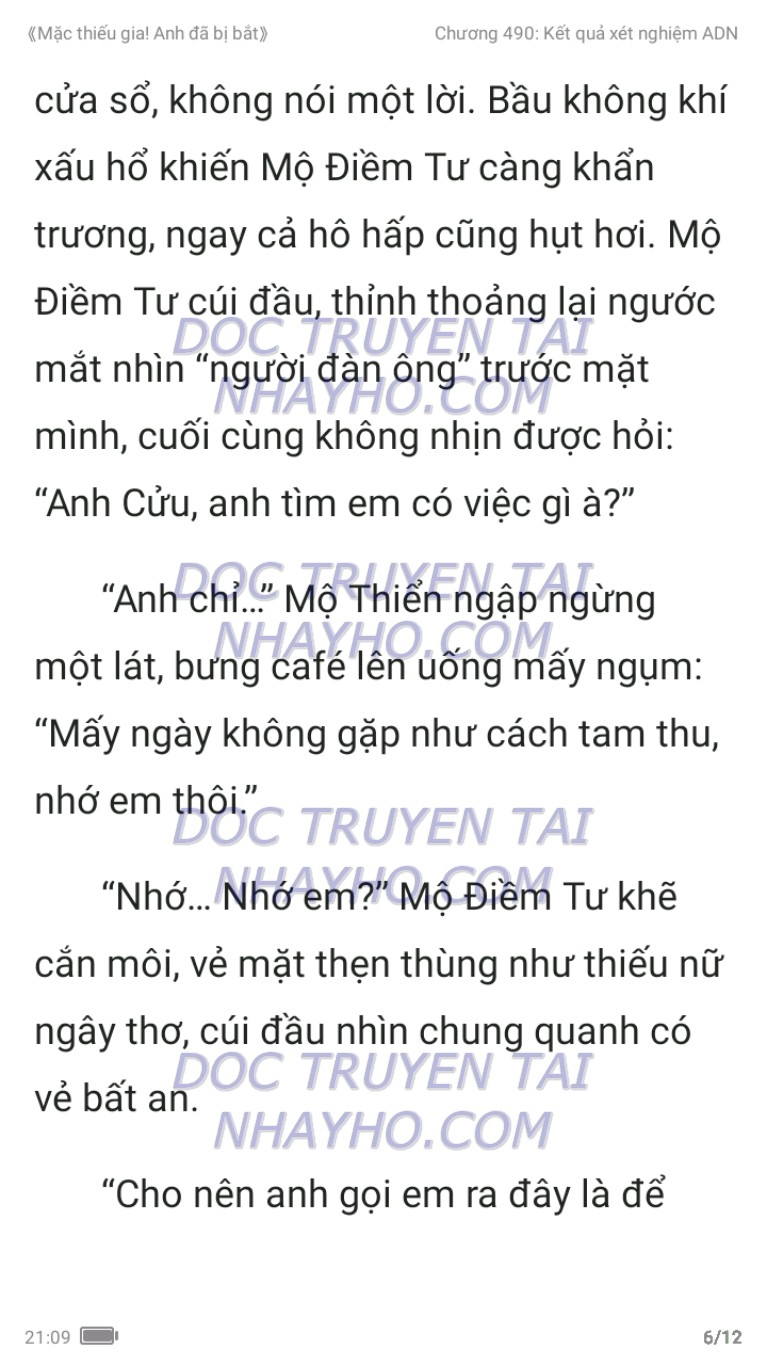 mac-thieu-gia-anh-da-bi-bat-490-5