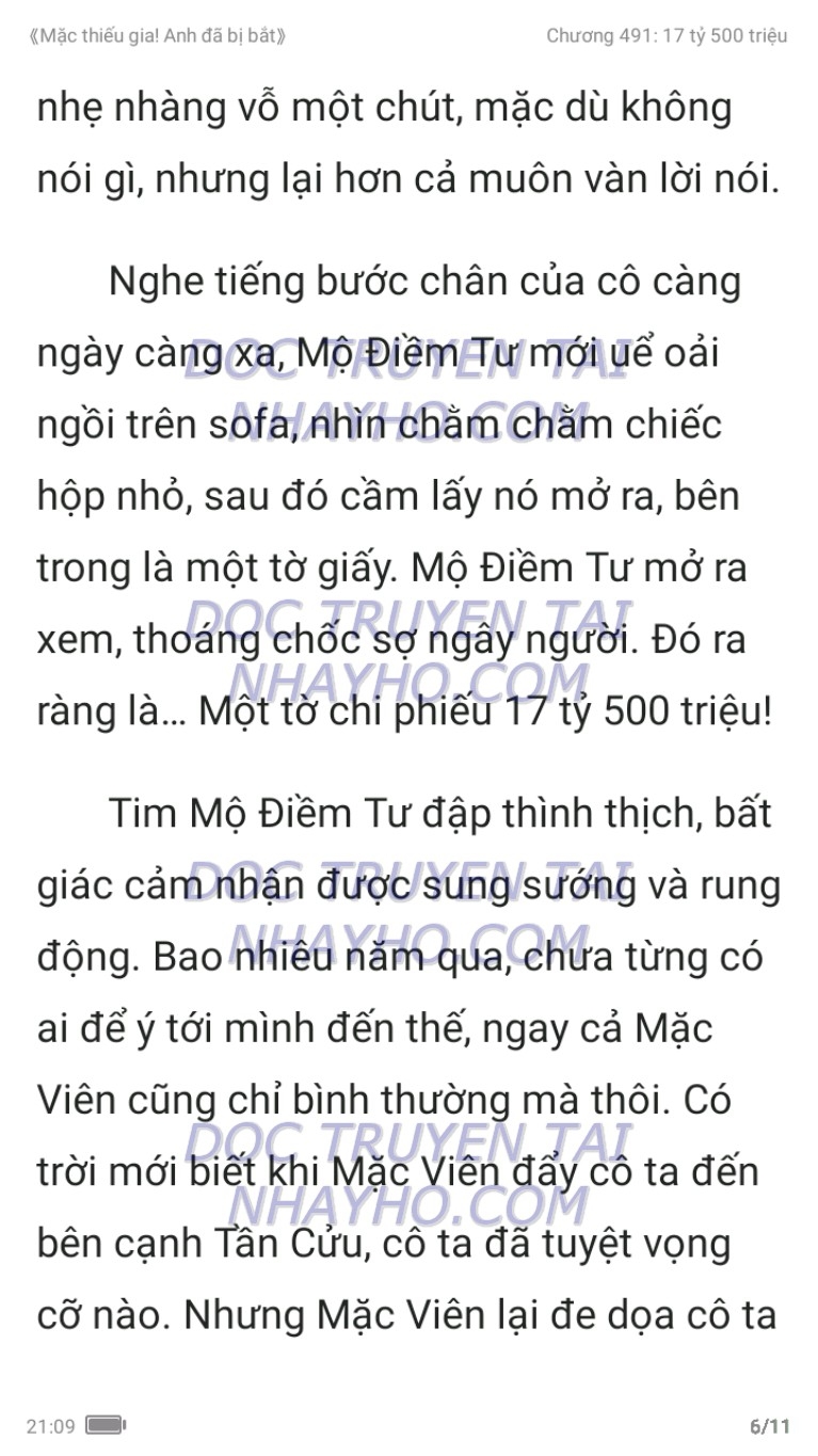 mac-thieu-gia-anh-da-bi-bat-491-5