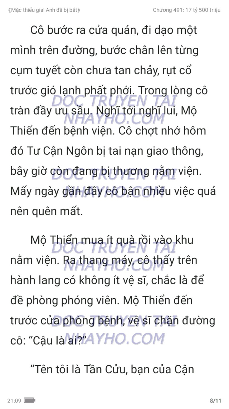 mac-thieu-gia-anh-da-bi-bat-491-7