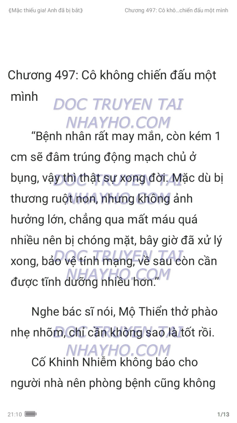 mac-thieu-gia-anh-da-bi-bat-497-0