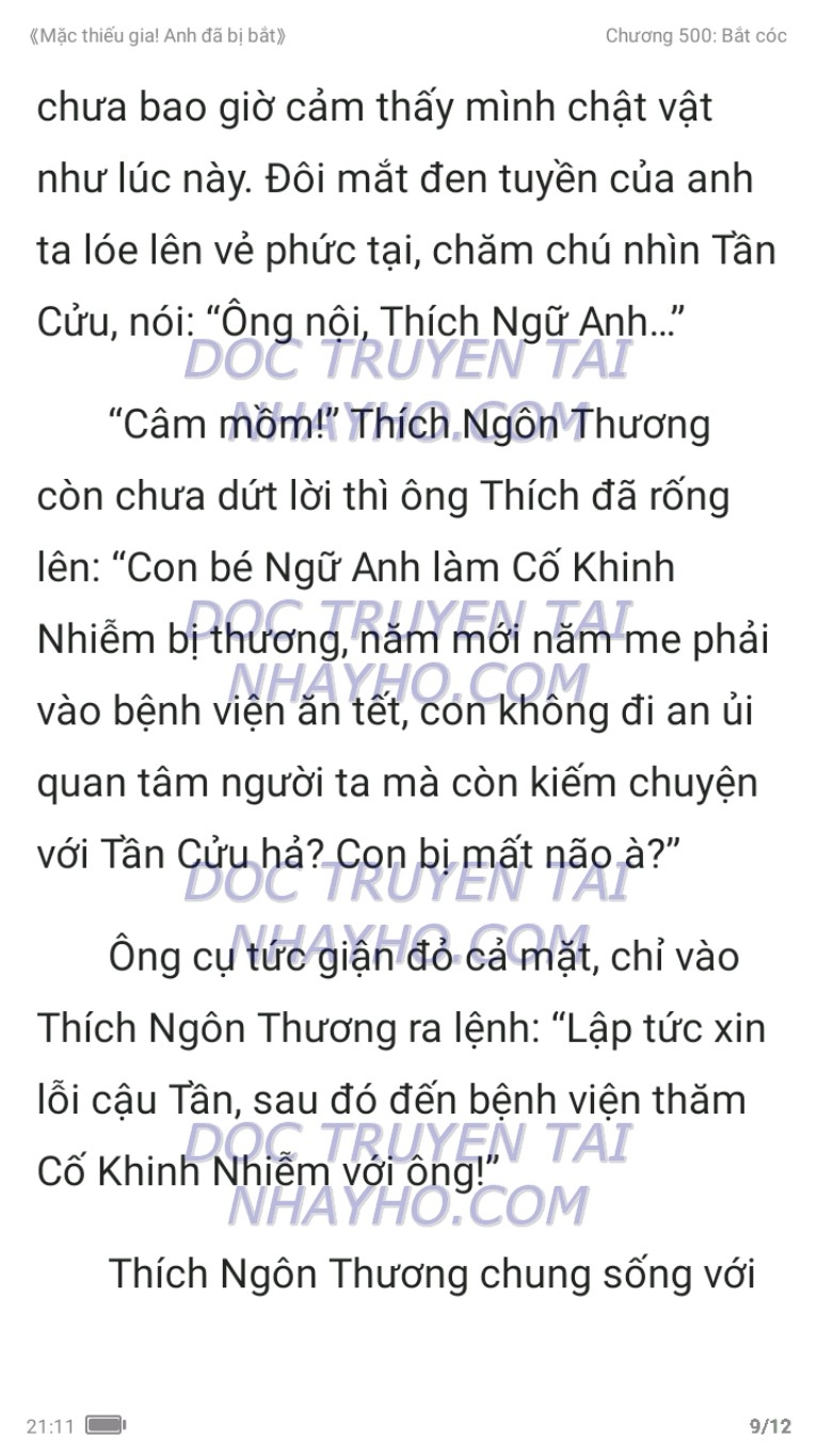 mac-thieu-gia-anh-da-bi-bat-500-8