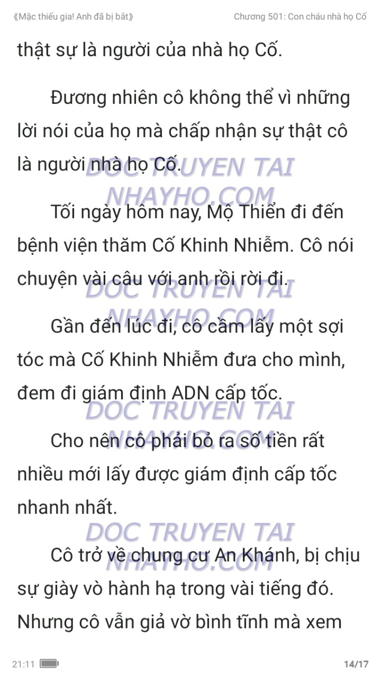 mac-thieu-gia-anh-da-bi-bat-501-13