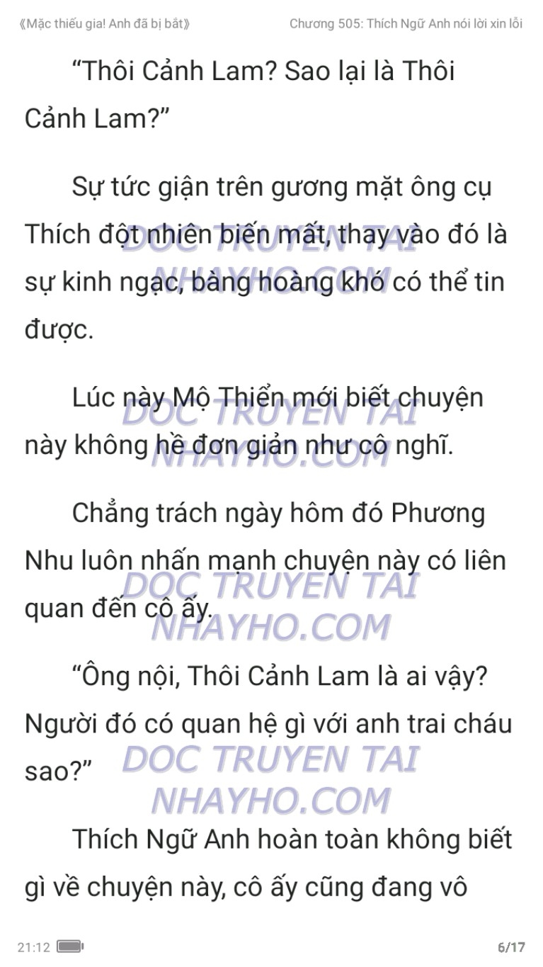 mac-thieu-gia-anh-da-bi-bat-505-5