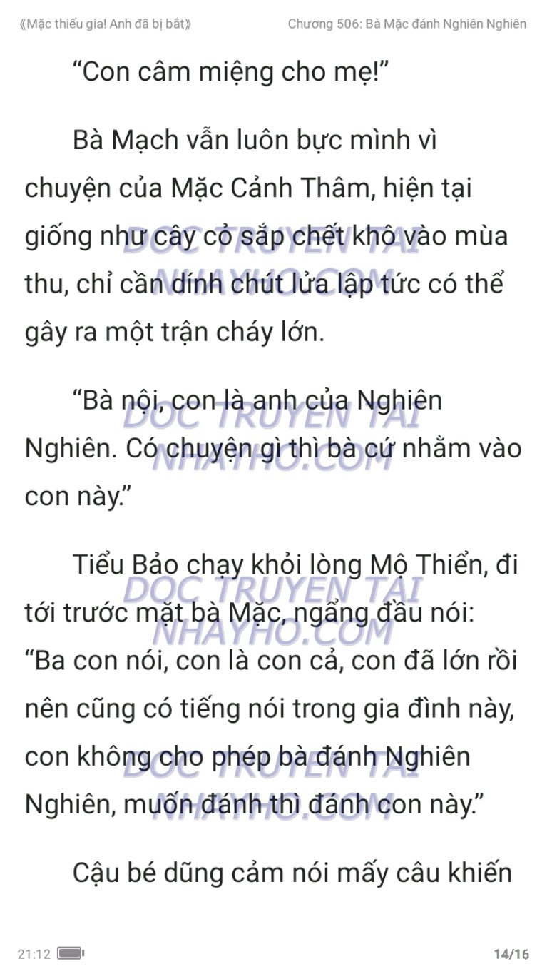 mac-thieu-gia-anh-da-bi-bat-506-13