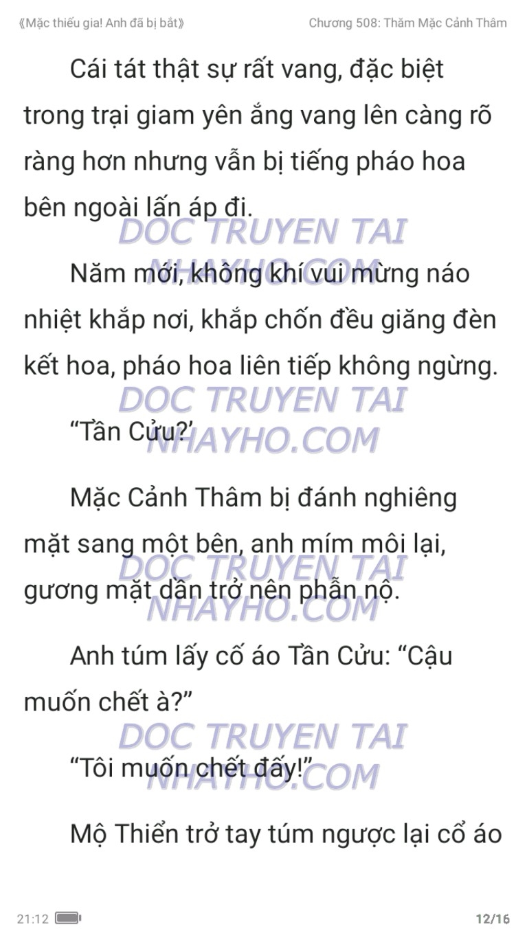 mac-thieu-gia-anh-da-bi-bat-508-11