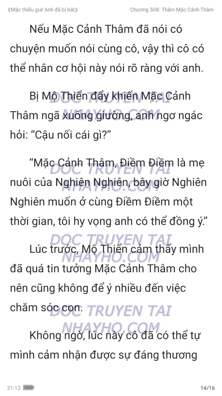 mac-thieu-gia-anh-da-bi-bat-508-13