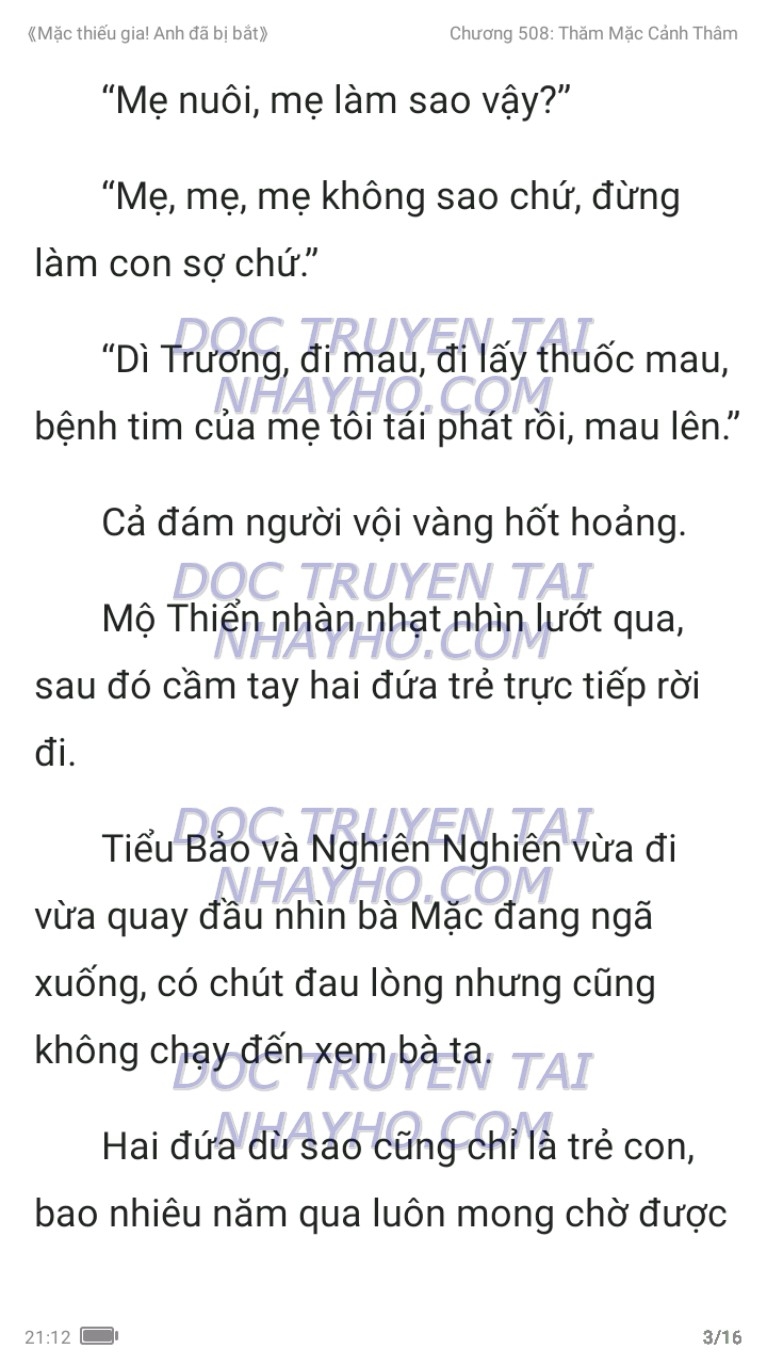 mac-thieu-gia-anh-da-bi-bat-508-2