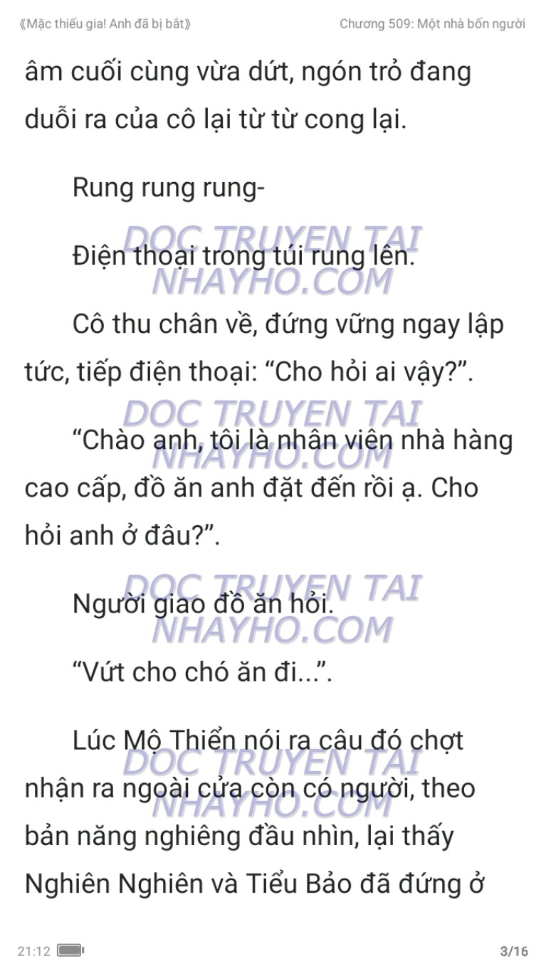 mac-thieu-gia-anh-da-bi-bat-509-2