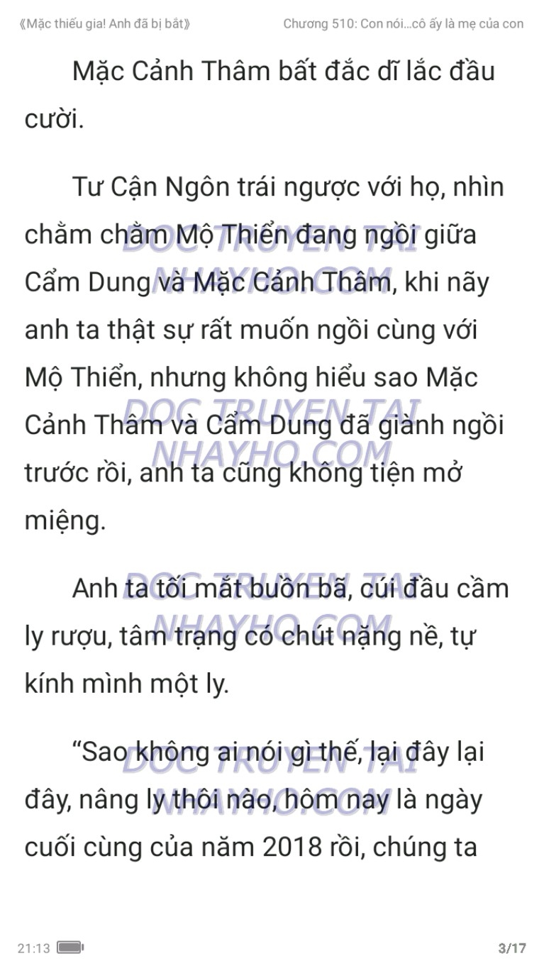 mac-thieu-gia-anh-da-bi-bat-510-2