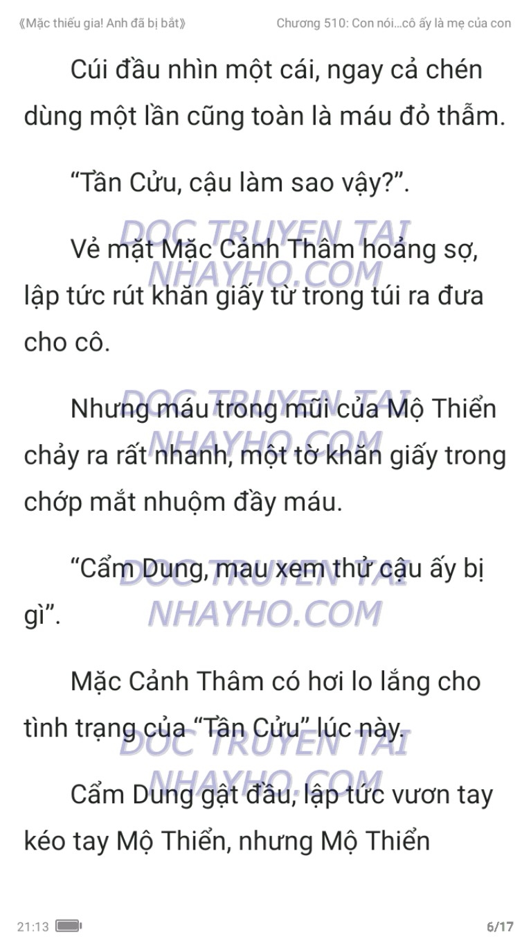 mac-thieu-gia-anh-da-bi-bat-510-5