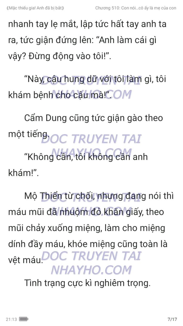 mac-thieu-gia-anh-da-bi-bat-510-6