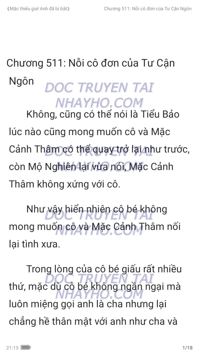 mac-thieu-gia-anh-da-bi-bat-511-0