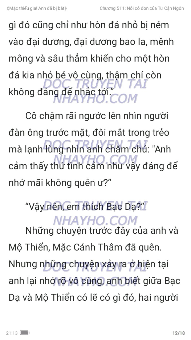 mac-thieu-gia-anh-da-bi-bat-511-11