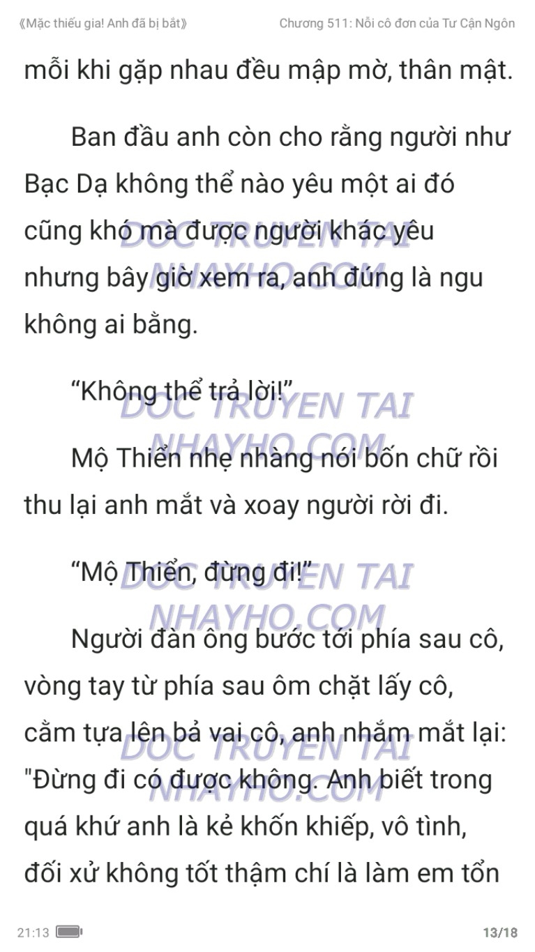 mac-thieu-gia-anh-da-bi-bat-511-12