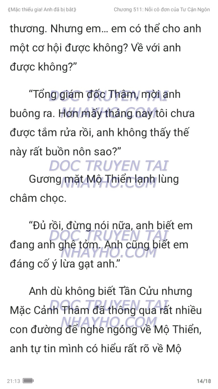 mac-thieu-gia-anh-da-bi-bat-511-13