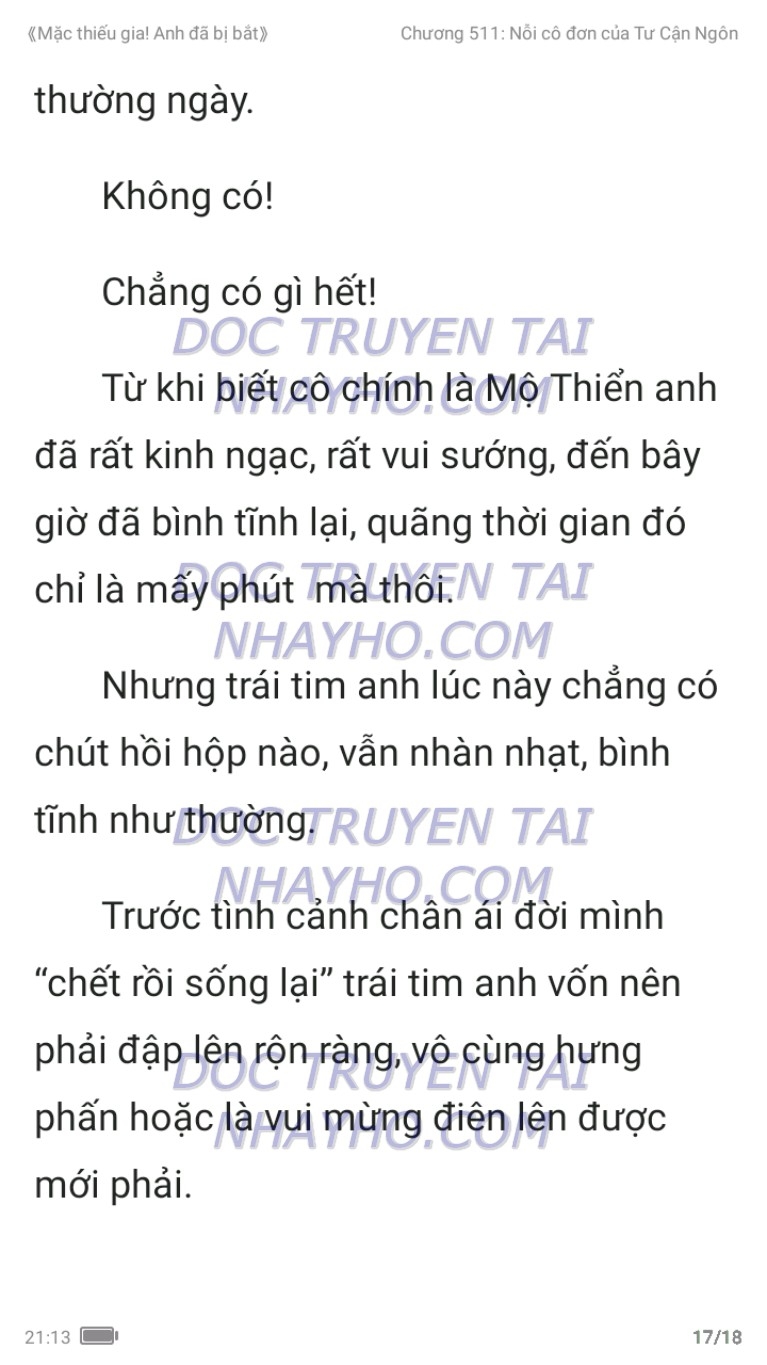 mac-thieu-gia-anh-da-bi-bat-511-16