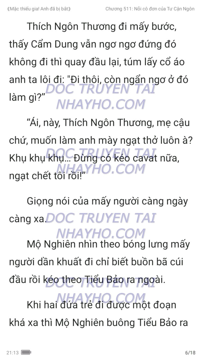 mac-thieu-gia-anh-da-bi-bat-511-5