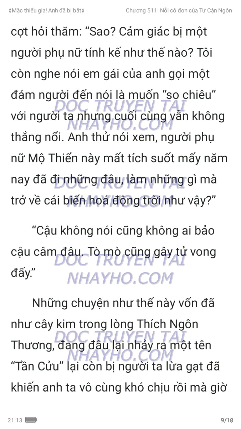 mac-thieu-gia-anh-da-bi-bat-511-8