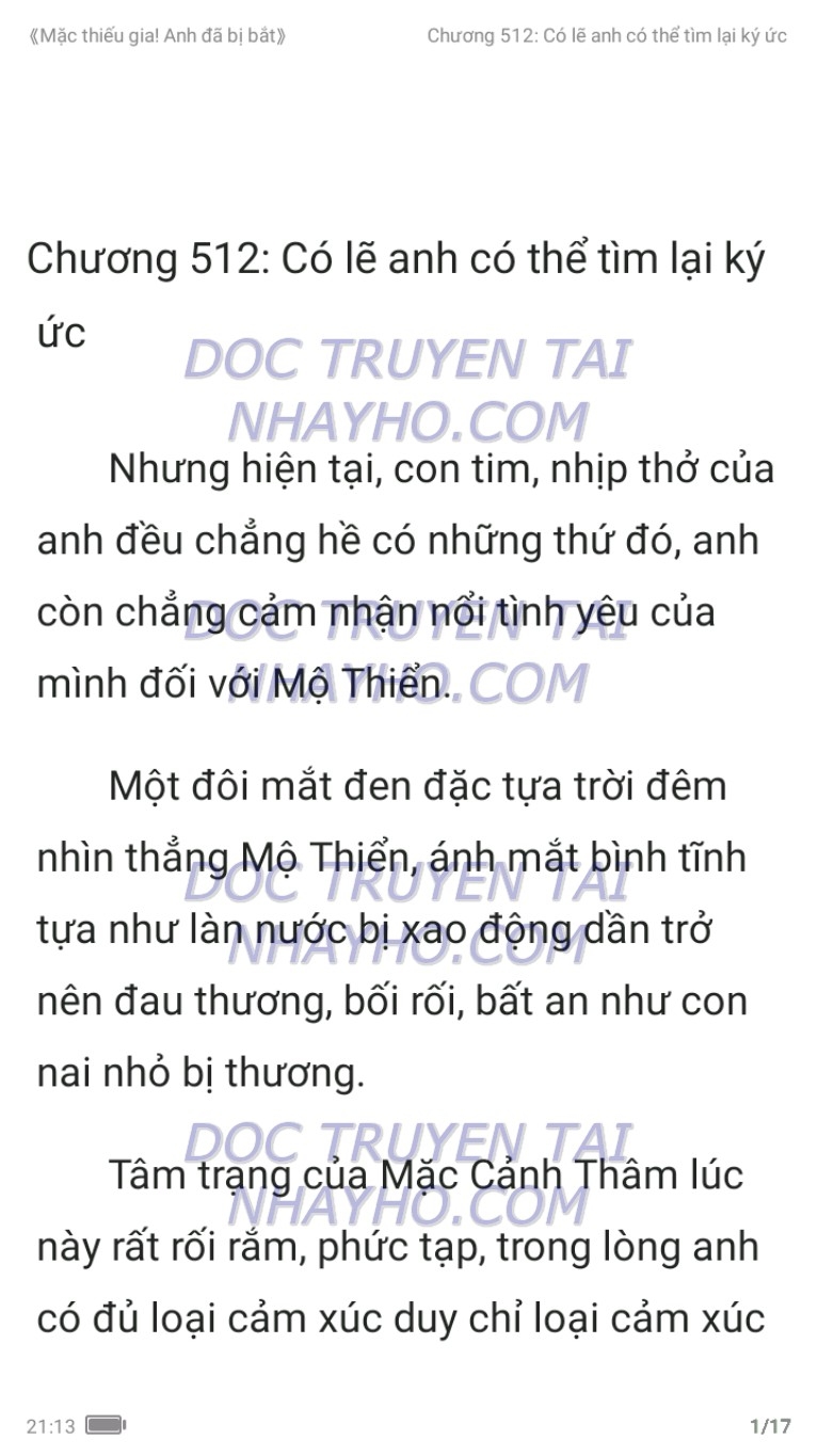 mac-thieu-gia-anh-da-bi-bat-512-0