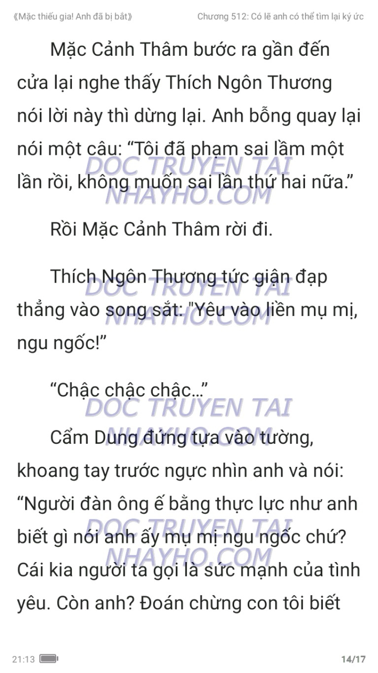 mac-thieu-gia-anh-da-bi-bat-512-13