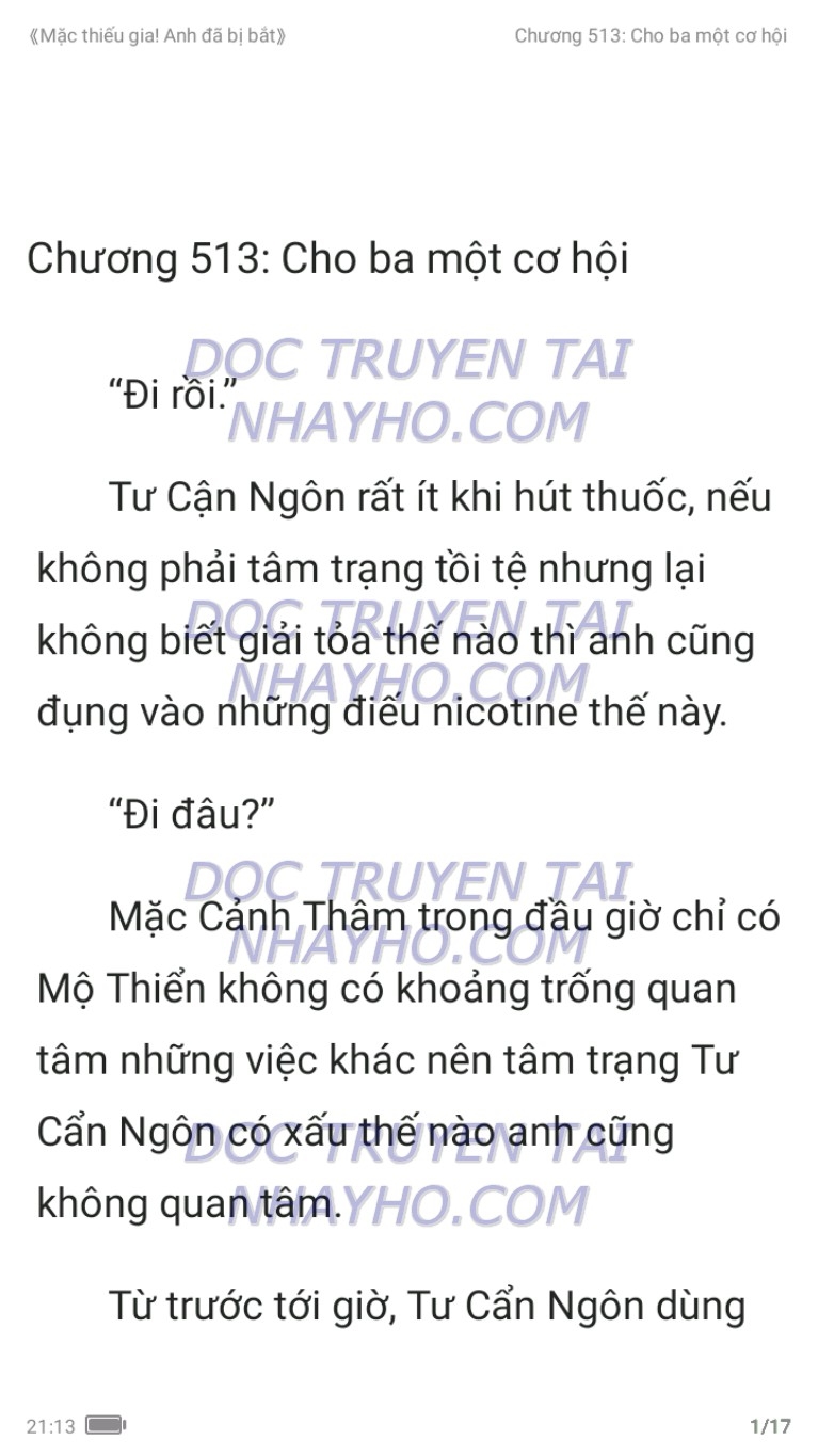 mac-thieu-gia-anh-da-bi-bat-513-0