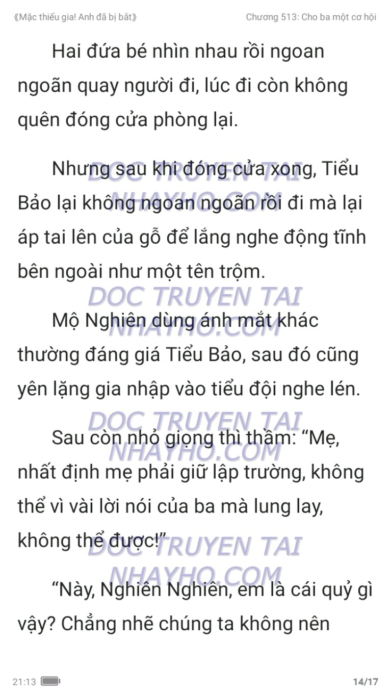 mac-thieu-gia-anh-da-bi-bat-513-13