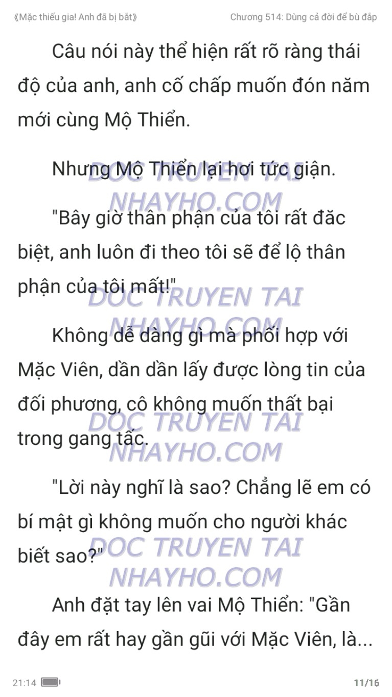 mac-thieu-gia-anh-da-bi-bat-514-10