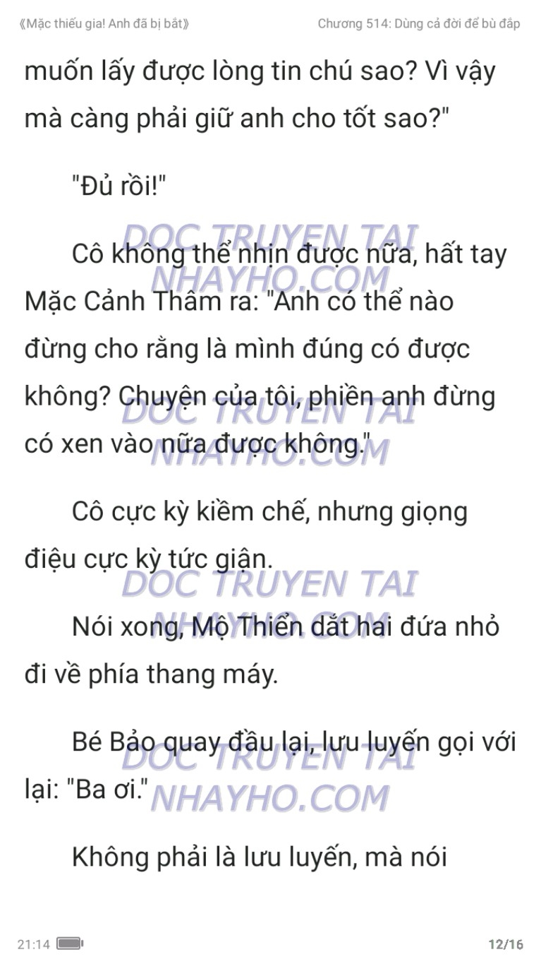 mac-thieu-gia-anh-da-bi-bat-514-11