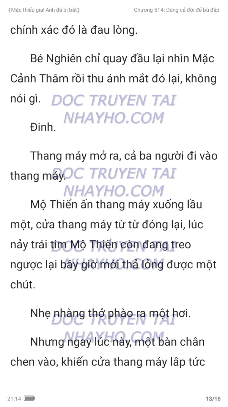 mac-thieu-gia-anh-da-bi-bat-514-12