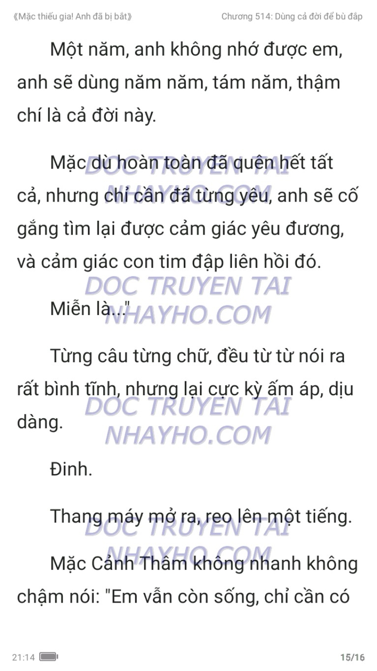 mac-thieu-gia-anh-da-bi-bat-514-14