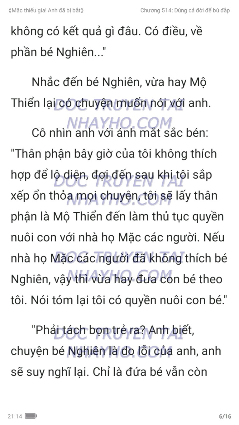 mac-thieu-gia-anh-da-bi-bat-514-5