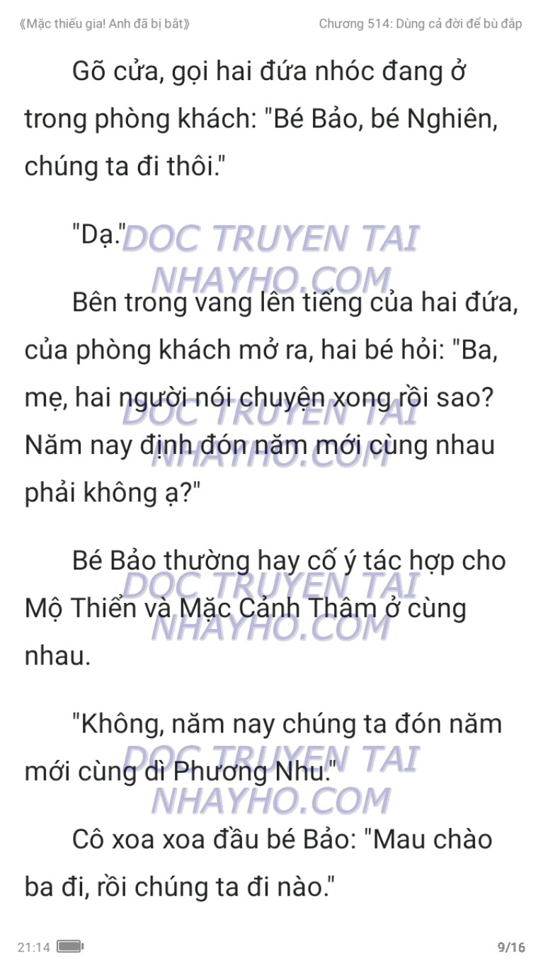 mac-thieu-gia-anh-da-bi-bat-514-8