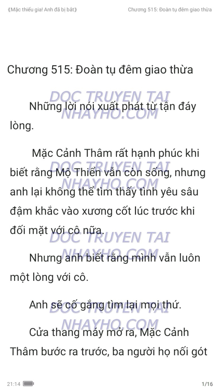 mac-thieu-gia-anh-da-bi-bat-515-0