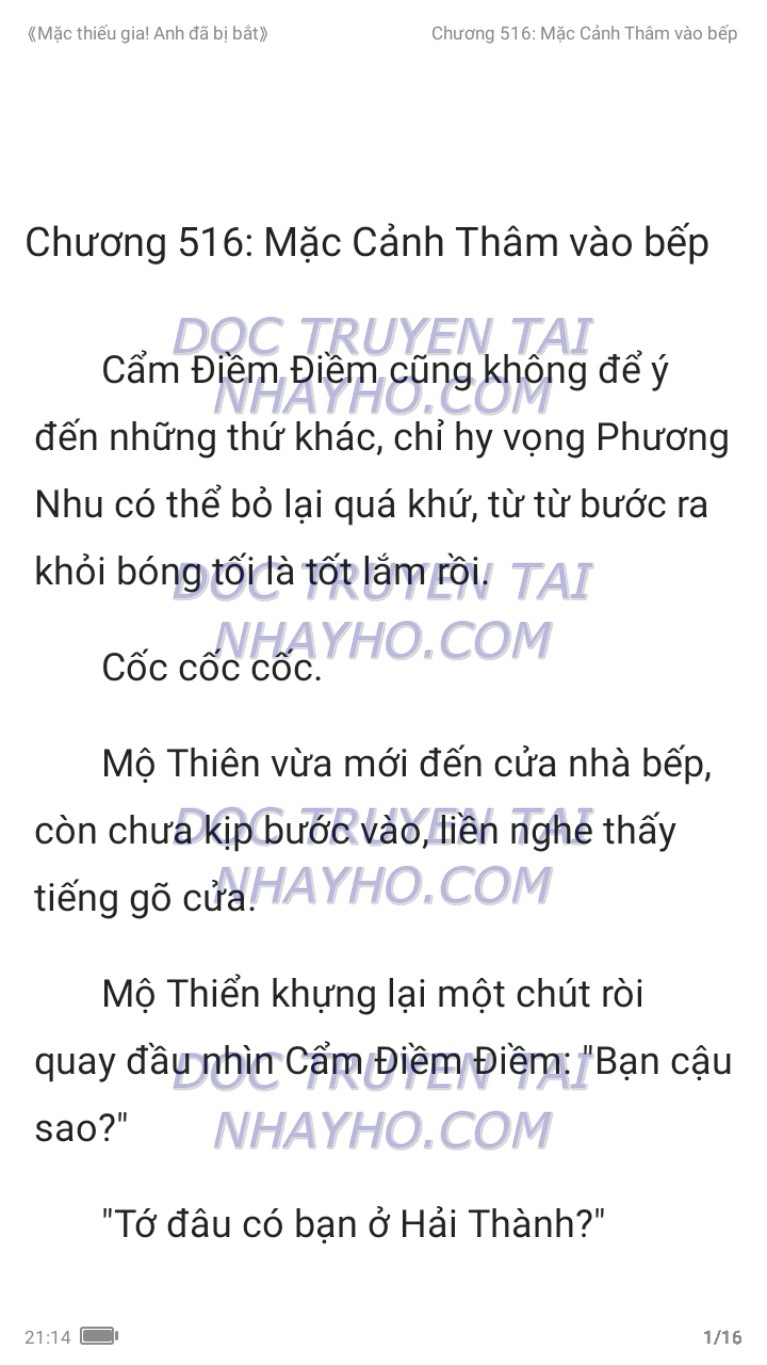 mac-thieu-gia-anh-da-bi-bat-516-0