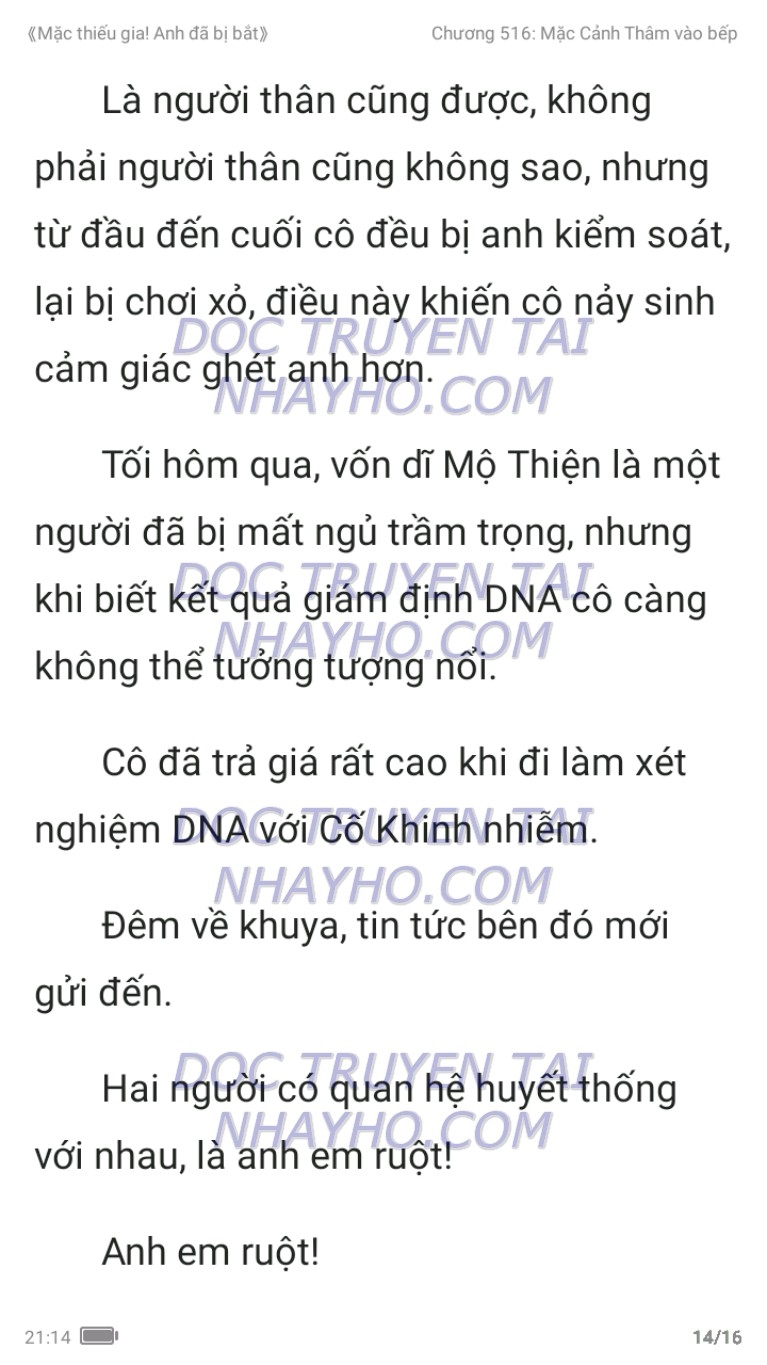 mac-thieu-gia-anh-da-bi-bat-516-13