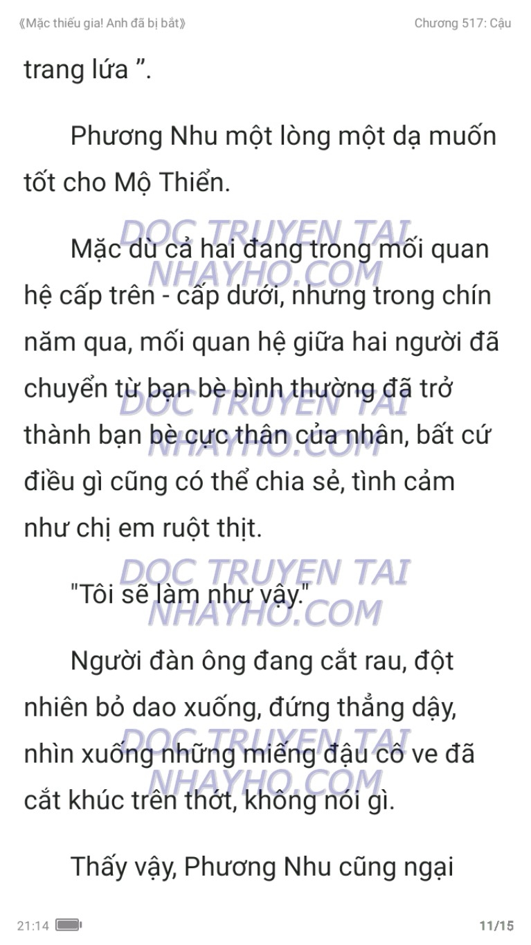 mac-thieu-gia-anh-da-bi-bat-517-10