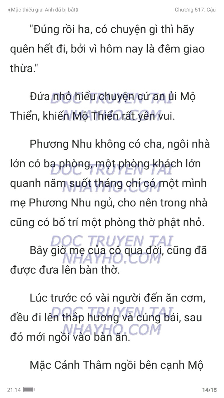 mac-thieu-gia-anh-da-bi-bat-517-13